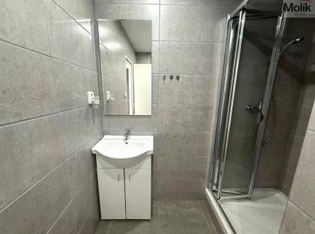 WhatsApp Image 2026-04-01 at 13.13.36 (6).jpeg | Pronájem bytu, 1+1, 37 m²