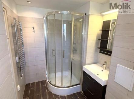 WhatsApp Image 2026-03-31 at 20.17.12 (1).jpeg | Pronájem bytu, 1+1, 39 m²