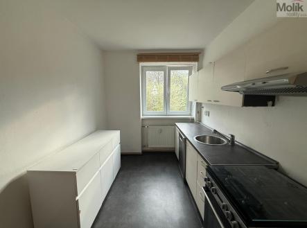 WhatsApp Image 2026-04-16 at 12.37.52 (6).jpeg | Pronájem bytu, 1+1, 39 m²