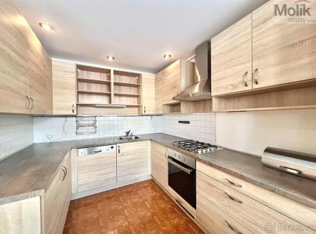 217000213 (2).jpg | Pronájem bytu, 3+1, 72 m²