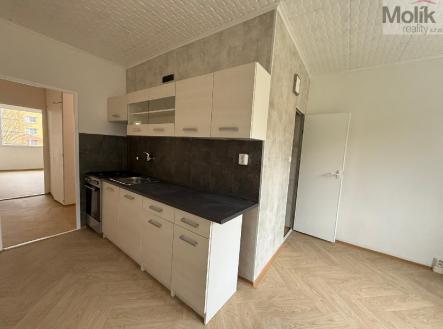 stažený soubor (2).jpg | Pronájem bytu, 2+1, 62 m²
