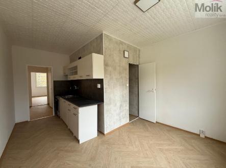 stažený soubor (1).jpg | Pronájem bytu, 2+1, 62 m²