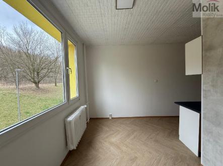 stažený soubor (3).jpg | Pronájem bytu, 2+1, 62 m²