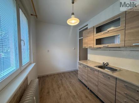 stažený soubor (1).jpg | Pronájem bytu, 1+1, 35 m²