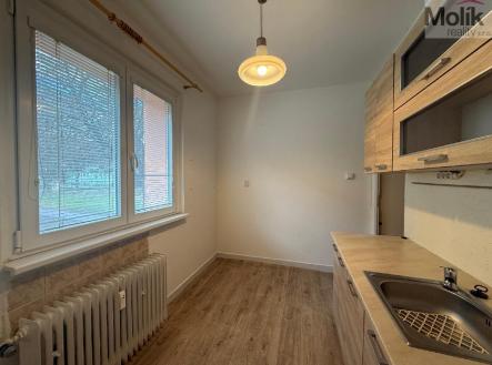 stažený soubor (2).jpg | Pronájem bytu, 1+1, 35 m²