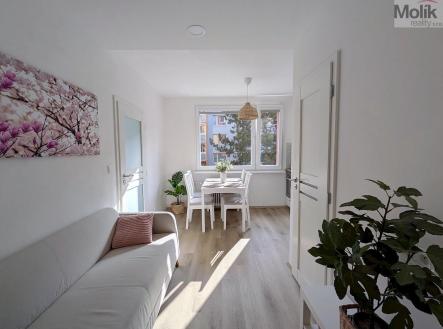 PXL_20260403_142115515.jpg | Pronájem bytu, 2+kk, 36 m²