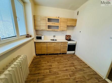 IMG_1946.jpeg | Pronájem bytu, 1+1, 37,5 m²