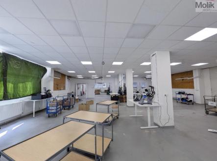 PXL_20260409_111939604~2.jpg | Pronájem - výrobní prostor, 1 185 m²