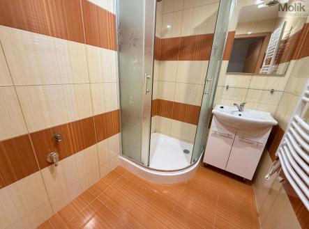 IMG_4922.jpg | Pronájem bytu, 2+1, 52 m²
