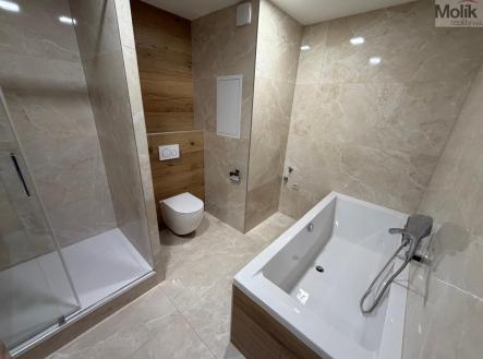 30230593-21eb-440c-80be-176e4e61cd48.JPG | Prodej bytu, 3+1, 68 m²