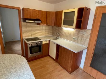 IMG_1018.jpg | Pronájem bytu, 4+kk, 92 m²