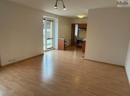 IMG_1021.jpg | Pronájem bytu, 4+kk, 92 m²
