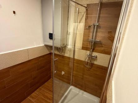 ed4e2a77-c983-4ec2-aae7-de60f31879e7.JPG | Prodej bytu, 4+1, 109 m²