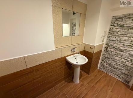 1a97d5d1-8fb9-46fa-a97c-4eb1fde1e58b.JPG | Prodej bytu, 4+1, 109 m²