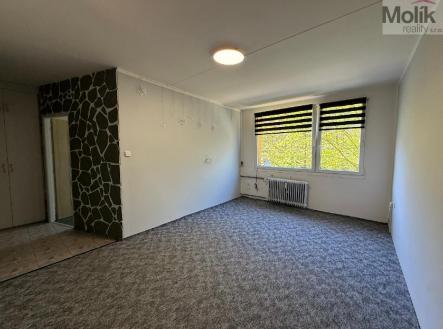 stažený soubor (2).jpg | Pronájem bytu, 2+kk, 40 m²