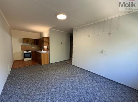 stažený soubor (1).jpg | Pronájem bytu, 2+kk, 40 m²