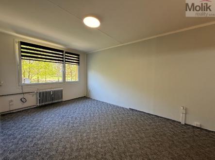 stažený soubor (3).jpg | Pronájem bytu, 2+kk, 40 m²