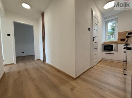 stažený soubor.jpg | Pronájem bytu, 3+1, 61 m²