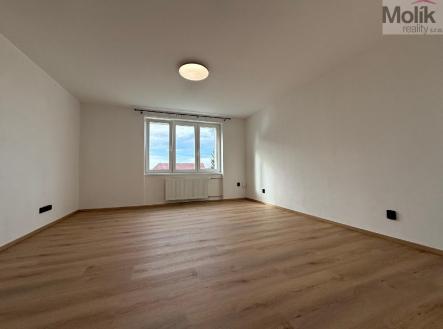 stažený soubor (5).jpg | Pronájem bytu, 3+1, 61 m²