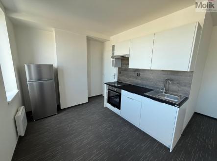 Pronájem bytu, 1+kk, 26 m²