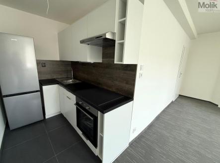 WhatsApp Image 2026-04-24 at 13.57.00 (3).jpeg | Pronájem bytu, 2+kk, 50 m²