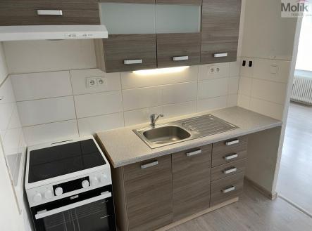 IMG_9648.jpg | Pronájem bytu, 1+kk, 34 m²