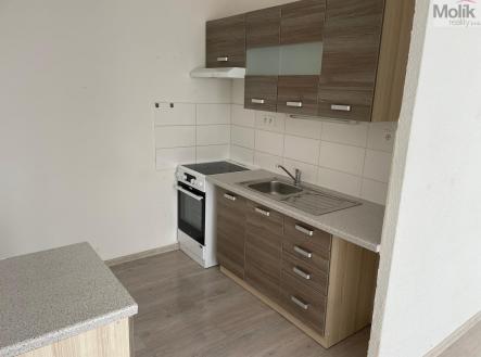 IMG_9647.jpg | Pronájem bytu, 1+kk, 34 m²