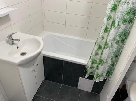 IMG_9641.jpg | Pronájem bytu, 1+kk, 34 m²