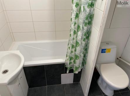 IMG_9640.jpg | Pronájem bytu, 1+kk, 34 m²