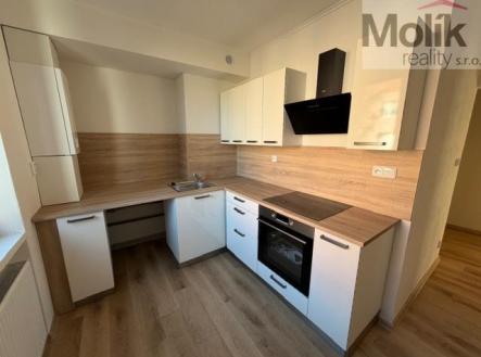 IMG_2442.jpeg | Pronájem bytu, 2+1, 49 m²