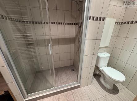 IMG_0108.jpeg | Pronájem bytu, 1+1, 38 m²