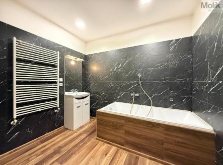 IMG_5040.jpg | Pronájem bytu, 3+kk, 84 m²
