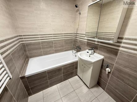 IMG_5251.jpg | Pronájem bytu, 2+1, 63 m²