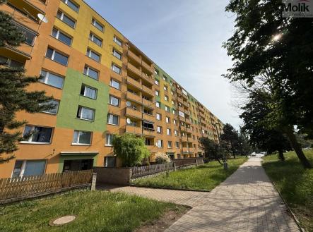 IMG_5686.jpg | Prodej bytu, 1+1, 35 m²