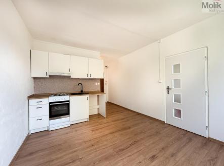 IMG_5679.jpg | Prodej bytu, 1+1, 35 m²