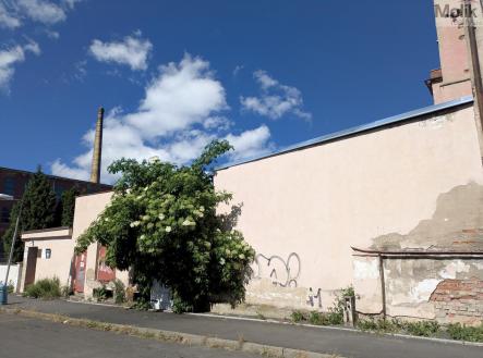 PXL_20260525_140006707.jpg | Pronájem - obchodní prostor, 70 m²