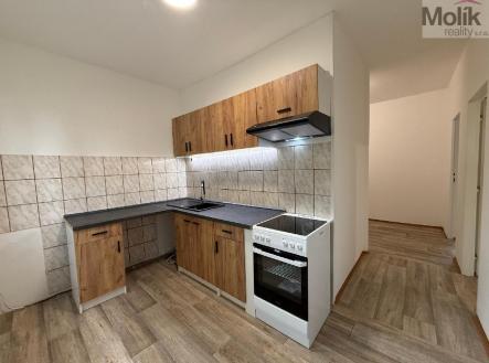 stažený soubor (1).jpg | Pronájem bytu, 2+1, 54 m²