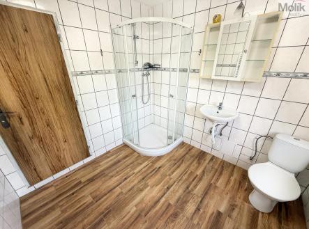 IMG_5747.jpg | Pronájem bytu, 3+1, 95 m²