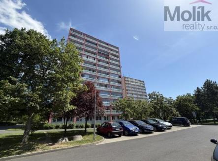 IMG_2976 | Pronájem bytu, 1+kk, 35 m²