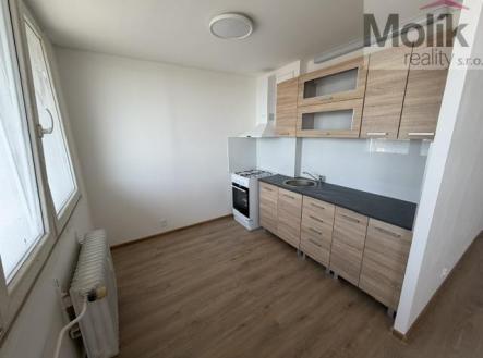 IMG_2987 | Pronájem bytu, 1+kk, 35 m²
