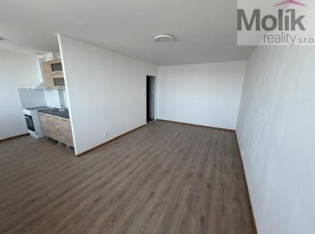 IMG_2986 | Pronájem bytu, 1+kk, 35 m²