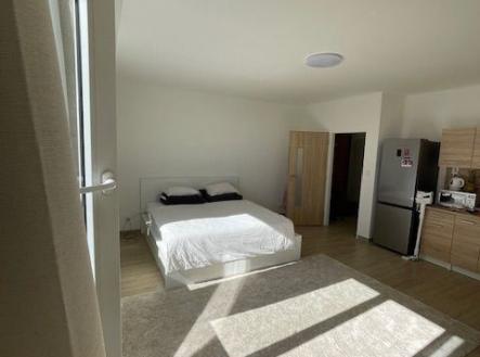 . | Pronájem bytu, 1+kk, 36 m²