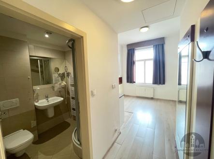 Kompaktní koupelna s moderními dlažbami a sprchovým koutem sousedí s chodbou vedoucí do světlého obývacího pokoje s parketovou podlahou. | Pronájem bytu, 1+kk, 16 m²