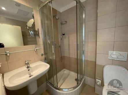 . | Pronájem bytu, 1+kk, 24 m²