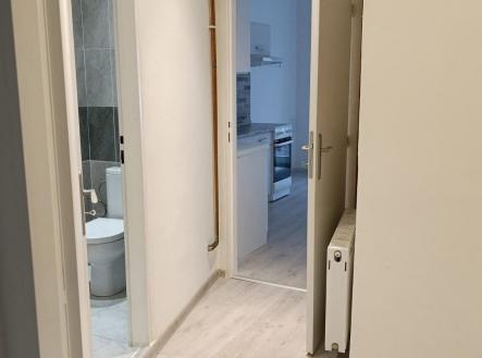 Chodba s moderními parketovými podlahami, vede do koupelny s dlažbou a světlé kuchyně. | Pronájem bytu, 2+kk, 51 m²