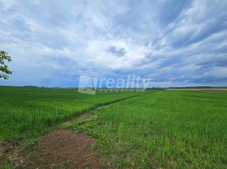 20240503_144730a | Prodej - pozemek, zemědělská půda, 31 385 m²