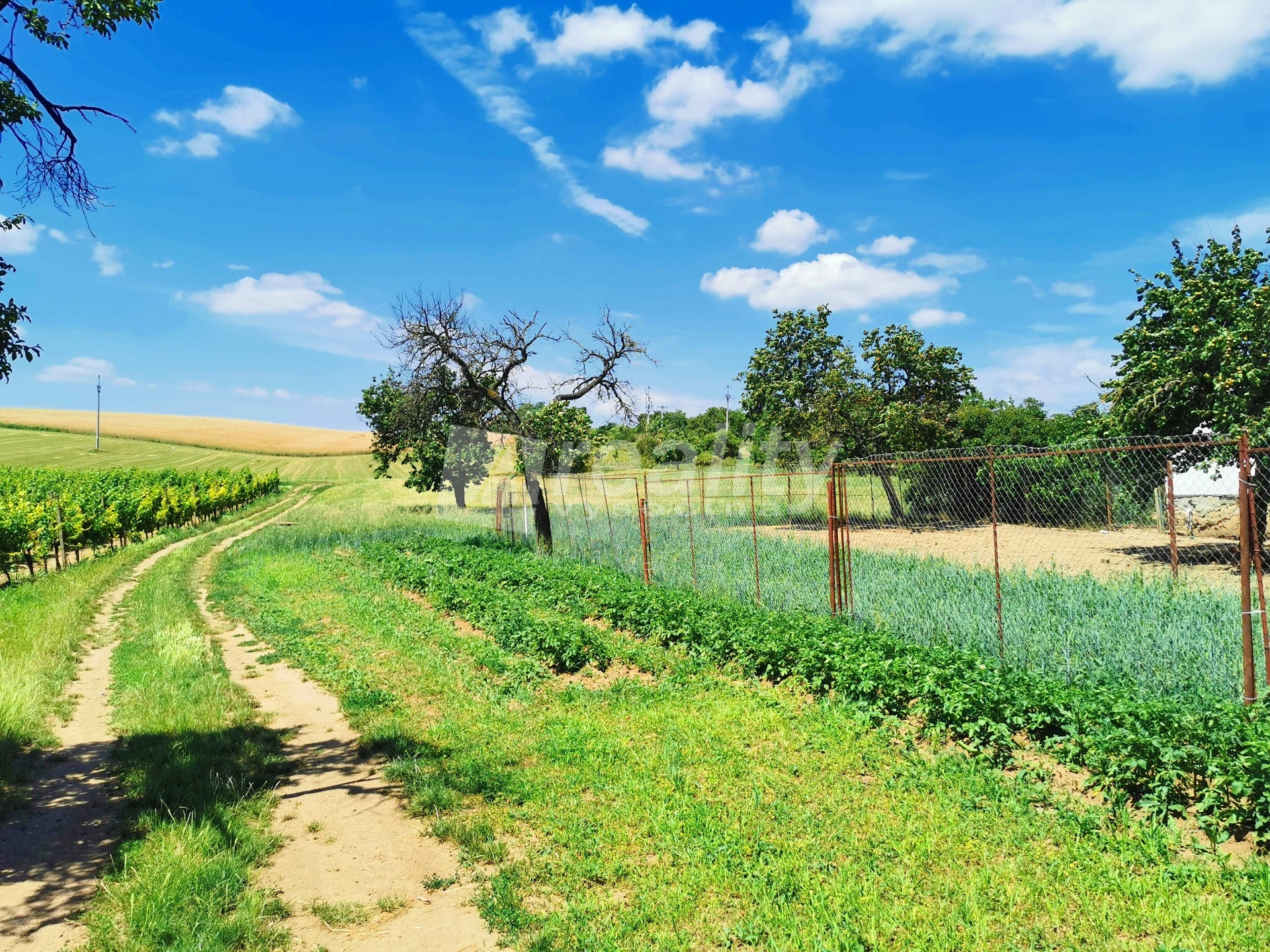 IMG_20220627_123545b