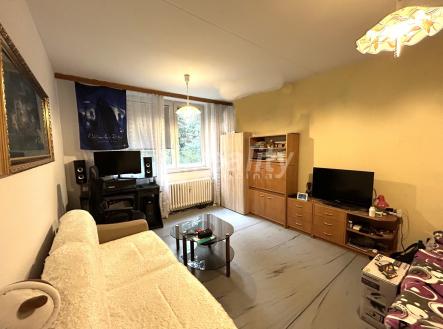 IMG_0211 - bez krabice | Prodej bytu, 1+1, 40 m²