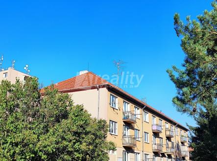 IMG_20250813_175344 | Pronájem bytu, 2+1, 54 m²