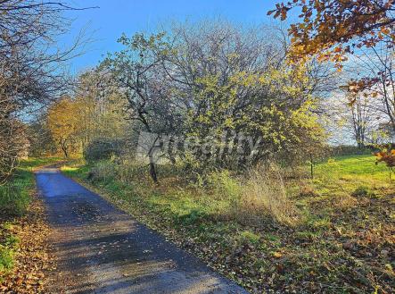 20251105_145158a | Prodej - pozemek pro bydlení, 1 000 m²